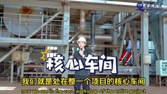 स्लाइड्स इग्निशन प्लांट उपचार और निपटान/स्लाइड्स दहन 380V/220V